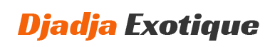 Djadja Exotique