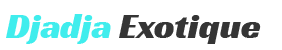 Djadja Exotique